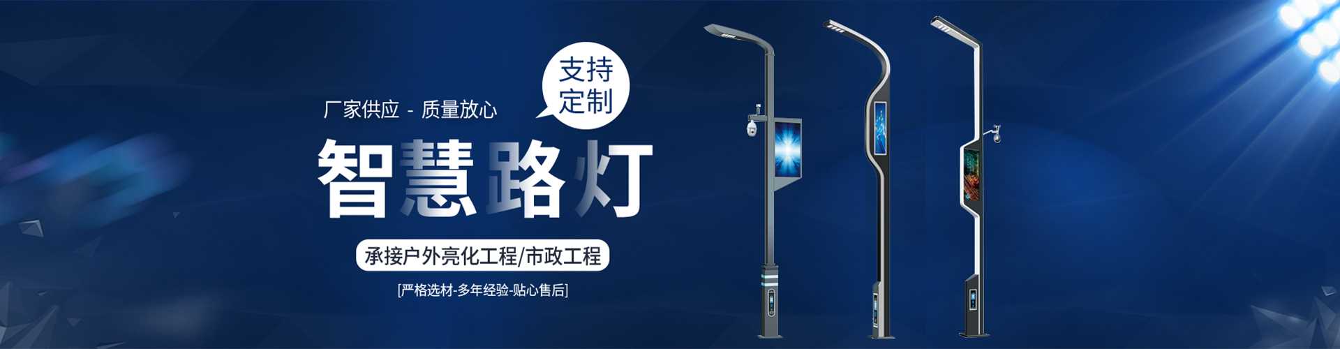 郯城县太阳能路灯定制厂家