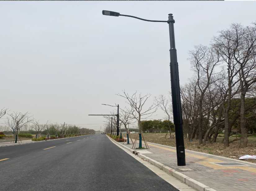 郯城县上海综合杆 太阳能路灯工程